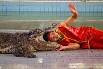 Handler puts his head inside the jaws of a  crocodile to entertain tourists at Zoo, Thailand