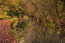 People walking along towpath beside the Cromford Canal, Derbyshire, UK, in autumn