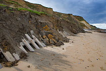 Crumbling cliffs caused by coastal erosion, Overstrand, Norfolk, UK, September