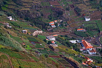Aerial view of housing and cultivation on hillside terraces, Madeira, November