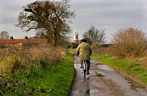 Man cycling down country lane towards Sutton Windmill, Norfolk, UK, Winter