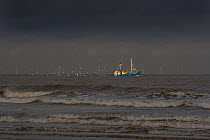 Fishing boat at sea with flock of seagulls overhead and wind farm in background, off Brancaster Beach Nature Reserve, Norfolk, UK, December