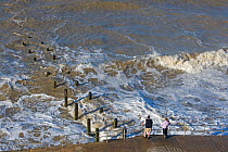 Looking down on people fishing off coastal path at high tide, Cromer, Norfolk, UK