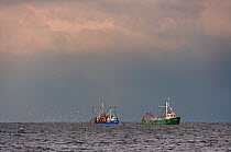 Fishing boats working off the Norfolk coast at Titchwell, UK, with seagulls following boats, November