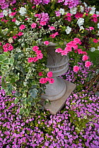 Floral display in stone urn, Regents Park, London, UK
