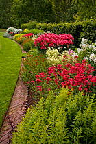 Flowers in garden border in woodland garden, Norfolk, UK