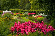 Flowers in garden border in woodland garden, Norfolk, UK