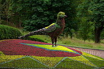 Floral design in shape of pheasant, Waddesdon Manor, Buckinghamshire, UK