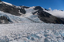 Franz Josef Glacier, Southern Alps, South Island, New Zealand