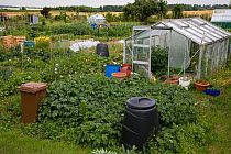 Greenhouse, compost bins and vegetable garden in Garden Allotments, Buckinghamshire, UK, June