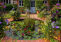 Garden pond and floral container displays, Norfolk, UK