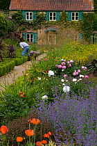 Gardener at work in the Spider Garden at Hoveton Hall, Norfolk, UK