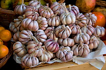 Garlic bulbs (Allium sativum) for sale in market stall, Funcal, Madeira, November