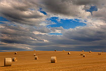 Stubble and round straw bales after harvest, Cley, Norfolk, UK, July