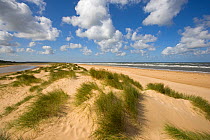 Sand dunes on Holkham Beach, North Norfolk, UK, September