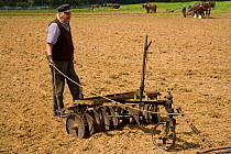 Man disc harrowing field with a pair of Shire Horses, UK