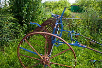 Horse drawn hay rake, UK