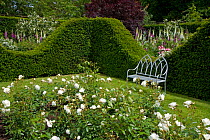 Rose Garden at Houghton Hall, Norfolk, UK