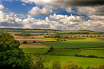 Ivinghoe Beacon from Whipsnade Down, Chilterns, Buckinghamshire, UK
