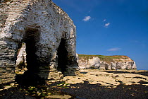 Limestone arches, Flamborough Head, Yorkshire, UK, July