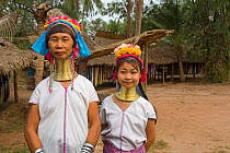 Kayan women wearing brass coils around her neck to lower the cavicle and make the neck look longer, Thailand 2009
