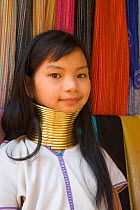 Young Kayan woman wearing brass coils around her neck to lower the cavicle and make the neck look longer, Thailand 2009