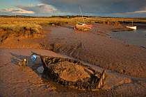 Wreck of an old boat exposed on Morston marsh at low tide, sunset, Norfolk, UK, Autumn