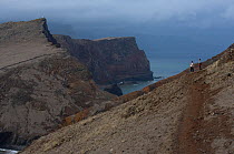 Ponta de Sao Lourenco Nature Reserve, Madeira, November