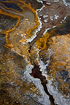 Aerial view of sulphur mineral deposits in Orakei Korako Volcanic Valley, North Island, New Zealand