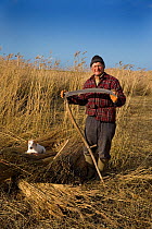 Man holding scythe  cutting reeds, Cley Marsh, Norfolk, UK, with Jack Russell dog. January 2009