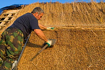 Man thatching a cottage roof, Trunch, Norfolk, UK. 2007