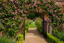 Rose arch and walled garden, Hoveton, Norfolk, UK