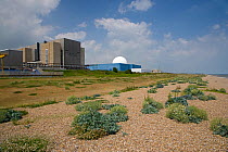 Sizewell nuclear power station on beach, Sizewell, Suffolk, UK, June
