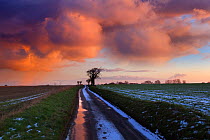 Track through farmland in winter, sunset, Southrepps, Norfolk, UK. January