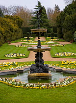 Formal gardens with fountain at Ascott house, Buckinghamshire, UK, April