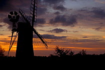 Silhouette of windmill with large flock of Common starling (Sturnus vulgaris) flying past to roost, Norfolk Broads, UK, October 2007