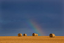 Straw Bales and rainbow at Wareham, Norfolk, UK, August