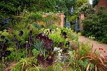Flower border of succulent plants in garden, Norfolk, UK, June