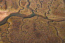 RF- Aerial view of creeks and saltmarsh on Morston marsh, Norfolk, UK, October 2008. (This image may be licensed either as rights managed or royalty free.)
