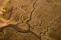 Aerial view of creeks and saltmarsh on Morston marsh, Norfolk, UK, October 2008