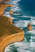 Aerial view of the Twelve Apostles seastacks off the coast of Victoria, Australia, January 2009