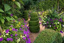 Formal garden with topiary box trees, East Rushton, Norfolk, UK, July