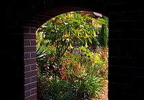 Garden plants viewed through a brick arch, East Rushton, Norfolk, UK, July
