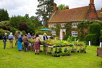 Plant sale in garden of village cottage, Norfolk, UK, June 2007