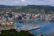 Wellington city and harbour viewed from Mount Victoria, North Island, New Zealand, February 2009