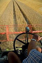 View from Combine harvester harvesting field of Wheat, Bedfordshire, UK, August 2006
