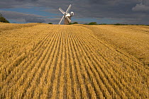 Wilton windmill, in distance across stubble field, near Hungerford, Berkshire, UK, August 2005