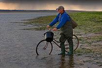 Fisherman returning with bucket of Winkles and bicycle, Blakeney Harbour, Norfolk, UK, September