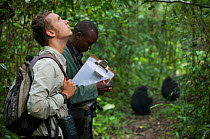 PhD student Simon Townsend (University of St. Andrews) and field assistant Monday Gideon observing Chimpanzees (Pan troglodytes schweinfurthii). Budongo Forest Reserve, Masindi, Uganda, Africa. Decemb...