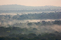 Rainforest of Budongo Forest Reserve and logged areas on both sides of the Royal Mile seen from Nyabyeya Hill at a cloudy sunrise. Budongo Forest Reserve, Masindi, Uganda, Africa. December 2006